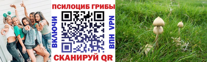 Галлюциногенные грибы мицелий  сколько стоит  Янаул 