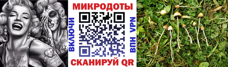 Псилоцибиновые грибы MAGIC MUSHROOMS Янаул